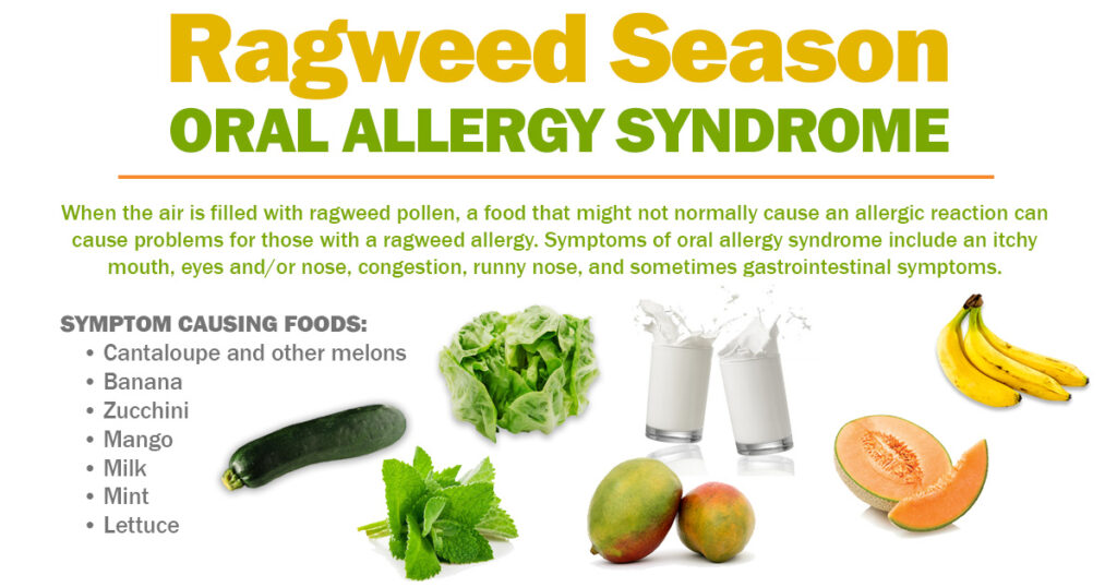 Ragweed Allergy Symptoms and Treatment